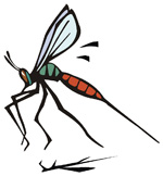 rever-mosquito"